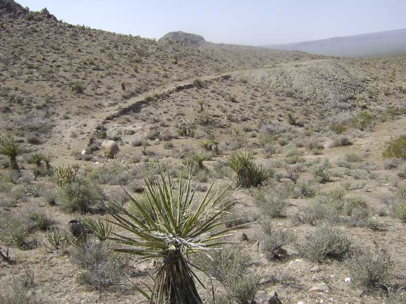 I walk over to the second mine site, closer to Globe Mine Road