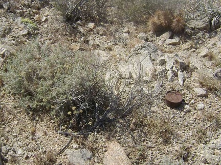 I come across a number of old cans as I hike over the little hill and leave the mine area