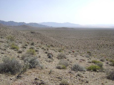 I drop down onto the fan and head south toward Kelso Dunes