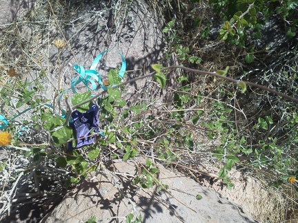 I guess it's time to stumble upon a stray balloon, since I haven't seen one yet today here in Borrego Canyon