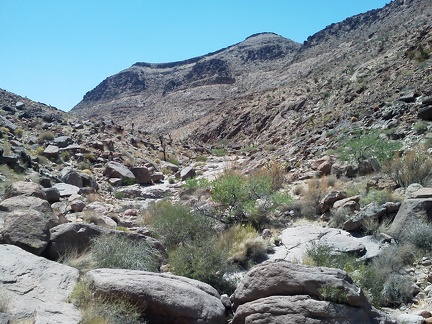 Borrego Canyon is quite rocky, making for slow hiking, as I thought might be the case