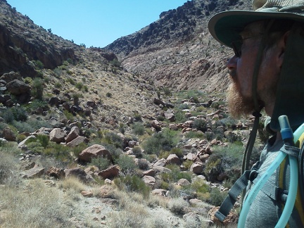 Much of Borrego Canyon is rocky and brushy like here, offering no obviously good hiking route up the canyon