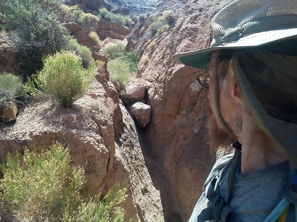 I arrive at a small dry waterfall in Borrego Canyon and ponder my next steps