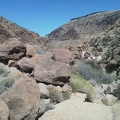 I decide that the dry waterfall is a good place to turn around and start heading back down Borrego Canyon