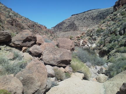 I decide that the dry waterfall is a good place to turn around and start heading back down Borrego Canyon