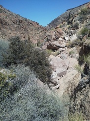 Hiking Borrego Canyon is a bit faster in the downhill direction