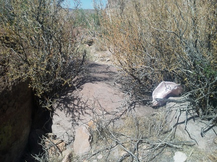 A typical moment while hiking in Borrego Canyon