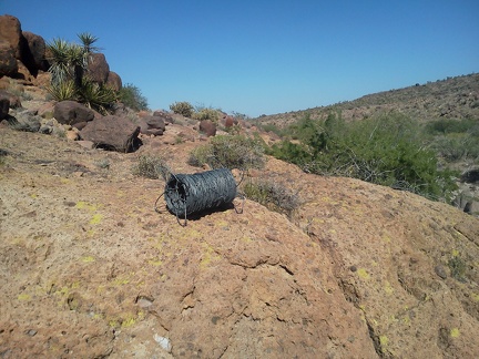 Borrego Canyon is quite pristine, except for the cow grazing and this fresh roll of barbed wire