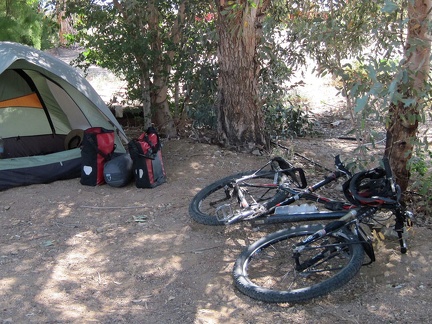 I enjoy the morning shade at Nipton; it makes packing up so much easier