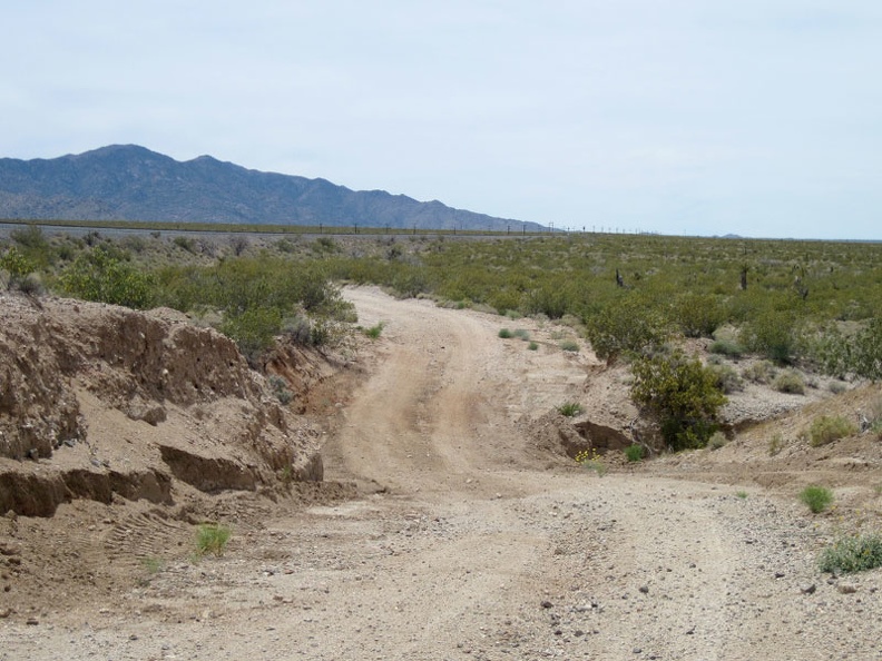 Nipton-Moore Road is mostly straight and almost flat, but it occasionally dips down to cross drainage washes