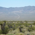 On the far side of Ivanpah Valley, I can see a distant dirt road squiggling up into the Ivanpah Mountains
