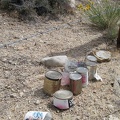 The cans are all food cans; full, upright, different from each other, and only slightly weathered: could this be a food cache?