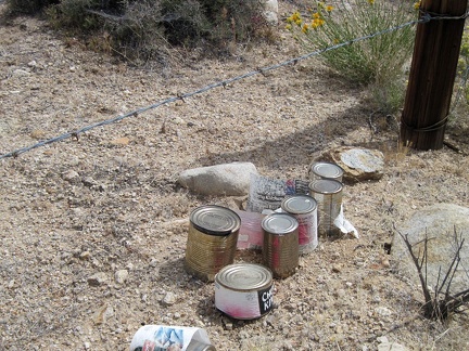 The cans are all food cans; full, upright, different from each other, and only slightly weathered: could this be a food cache?