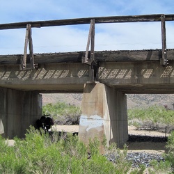 Day 13: Nipton to Brant Hills, New York Mountains, Mojave National Preserve