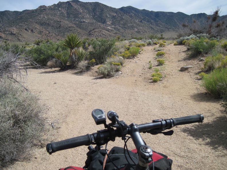 After I walk the bike through the sandy area under the bridge, the road rises up to a somewhat firmer surface