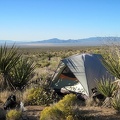 Finding a campsite is tricky in this area above Ivanpah Valley because there are hardly any open spaces between plants