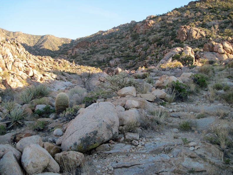 I continue my walk up the old road, which is increasingly grown-in