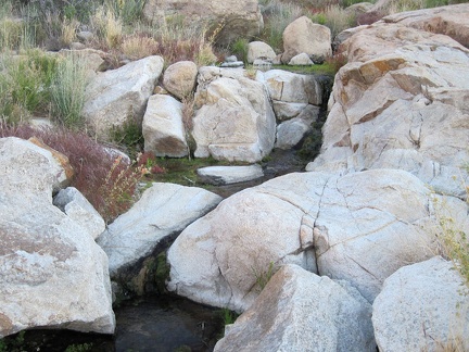 Water trickling down the rocks creates a small brook