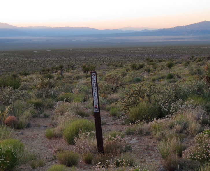 A Wilderness marker blocks an old road on the way back to my campsite above Ivanpah Valley