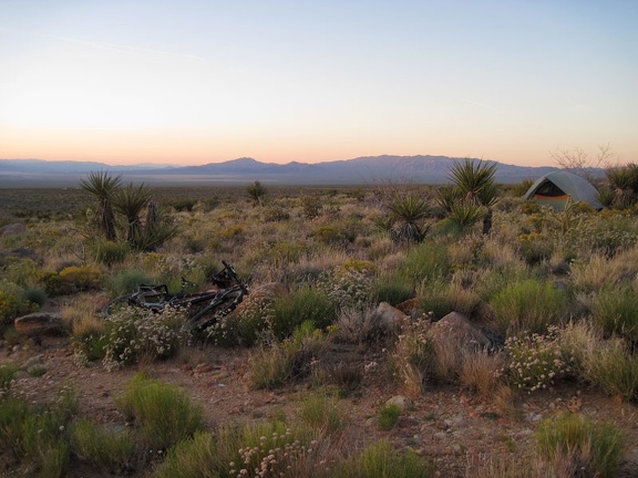 I make it back to my tent overlooking Ivanpah Valley just before dusk