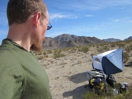 There's a bit of a wind this morning as I pack up to leave Kelso Dunes Wilderness; my now-empty tent blows over