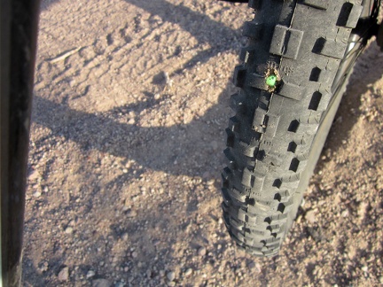 A cactus thorn punctures my tire and some Slime spurts out to fill the wound