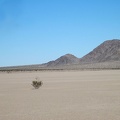 A lone creosote bush pops out of the ground at Broadwell Dry Lake