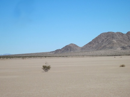 A lone creosote bush pops out of the ground at Broadwell Dry Lake