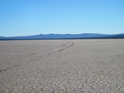 Someone drove across Broadwell Dry Lake a while ago when it was still a bit wet