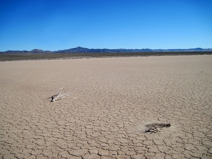 I continue my walk across Broadwell Dry Lake toward the Bristol Mountains