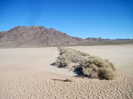An anomalous row of bushes grows out into Broadwell Dry Lake near the eastern shore