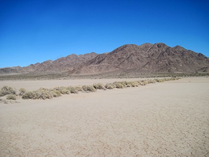 Hmmm... I think I'll call this row of brush &quot;The Broadwell Dry Lake Pier&quot;