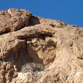 Close-up of the bird's nest high up in the rock wall in the Broadwell Natural Arch formation