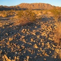 The Bristol Mountains behind me pick up the gorgeous gold of sunset as I hike down the rocky fan toward Broadwell Dry Lake
