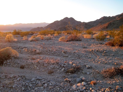 I continue hiking down the Bristol Mountains alluvial fan toward Broadwell Dry Lake; it's a beautiful, peaceful world out here