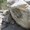 Striped boulder in lower Keystone Canyon, Mojave National Preserve