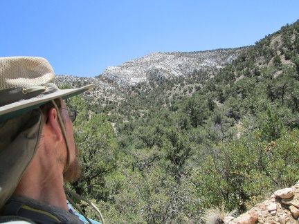 After a few minutes, I'm already high enough to have a view across to the other side of Keystone Canyon