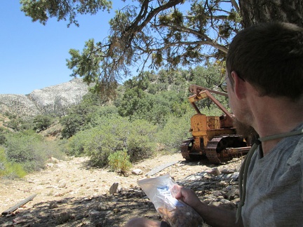 OK, now I take a break under the shade of a big old pine tree and eat some almonds