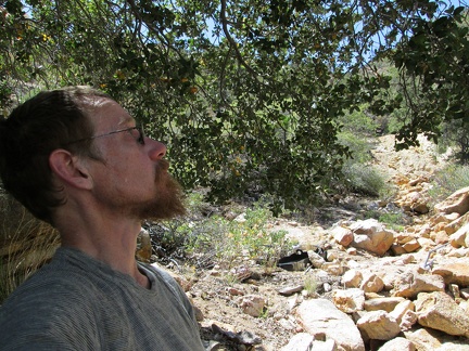 I sit under the big oak tree at the spring for a few minutes to enjoy the shade