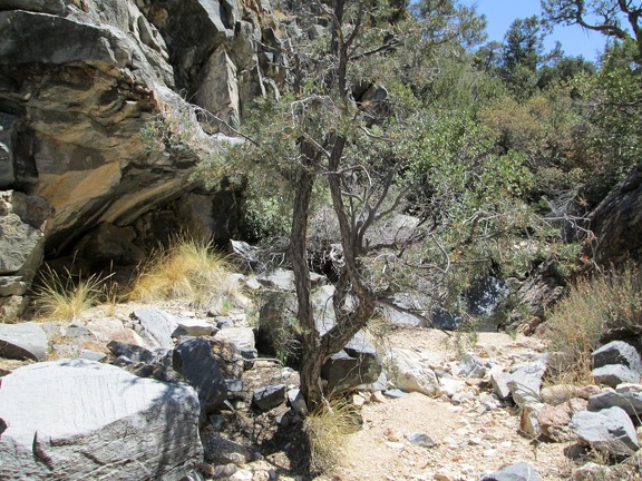 This is a great little canyon, full of rocks and trees, completely quiet and remote