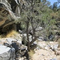 This is a great little canyon, full of rocks and trees, completely quiet and remote