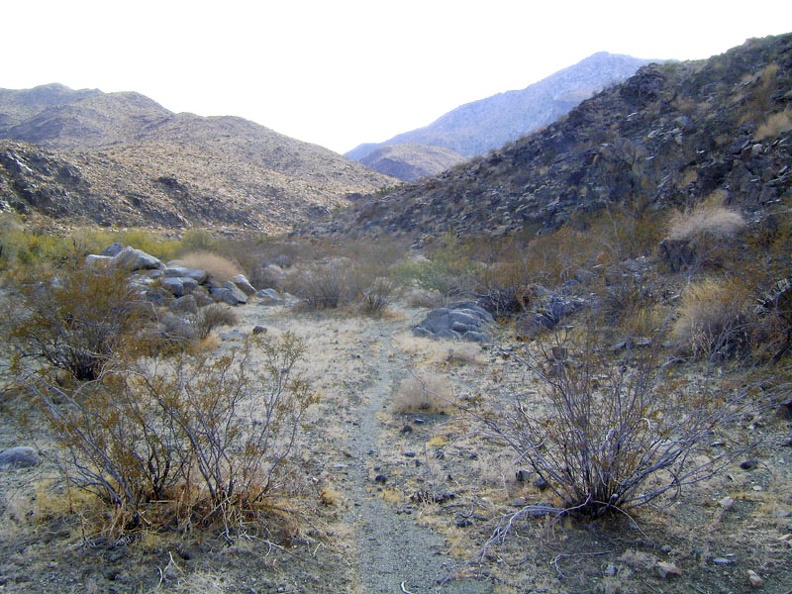Approaching Bull Canyon, I'm happy when I stumble upon an animal trail like this one, to help me navigate the rocky terrain