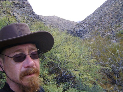 Looks like a bit of bushwhacking will be needed to get through this segment of Bull Canyon