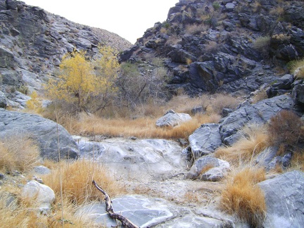 Bull Canyon widens a little after passing through the narrows