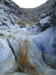 I step up another slick rock to the next level in Bull Canyon