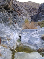 Water remains in this tinaja in Bull Canyon from the last rains