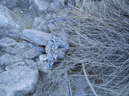 Even way out here in Bull Canyon, I again come across an old balloon; I doubt someone had a birthday party right here