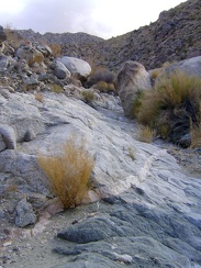 I like the exposed rock areas in Bull Canyon that allow me to get out of the brush for a few minutes