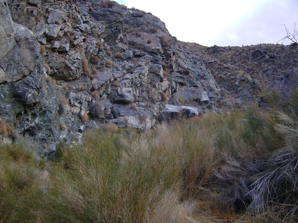 Ah, more rabbitbrush to get past in Bull Canyon!