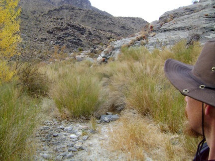 I'll try climbing a bit up the rocky ledge at my right to avoid another brushy area ahead in Bull Canyon